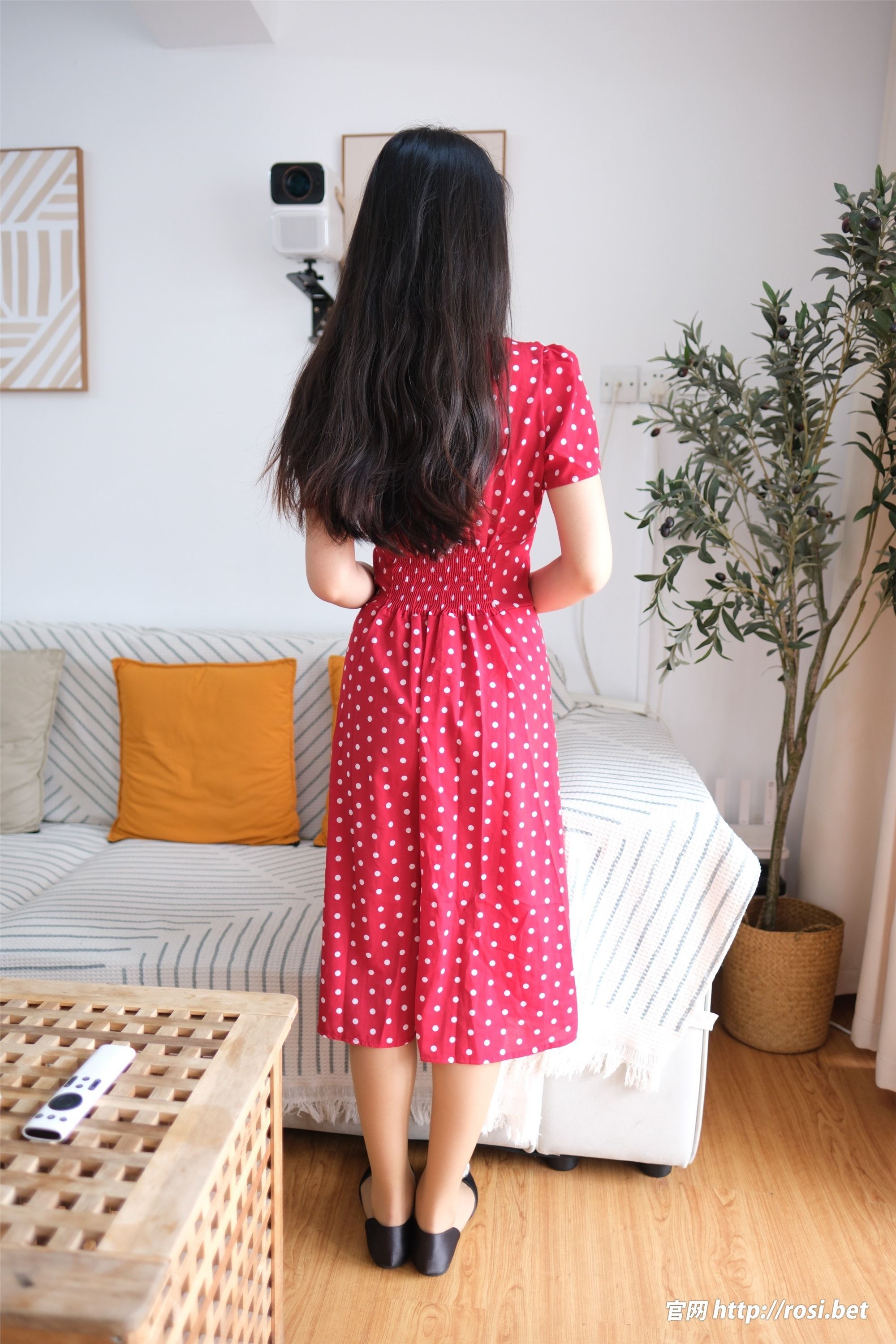 ROSI写真 2024.09.11 NO.4664